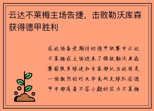 云达不莱梅主场告捷，击败勒沃库森获得德甲胜利